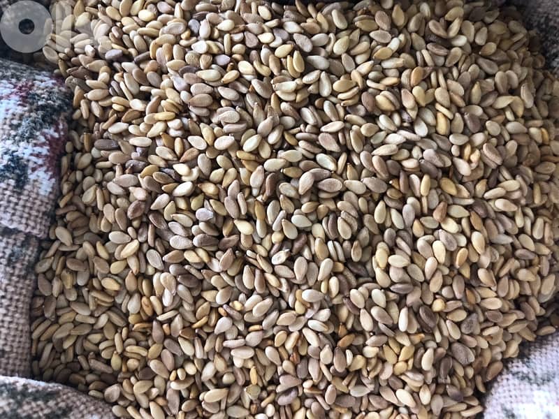 كيلو زعتر بلدي محوّج 2