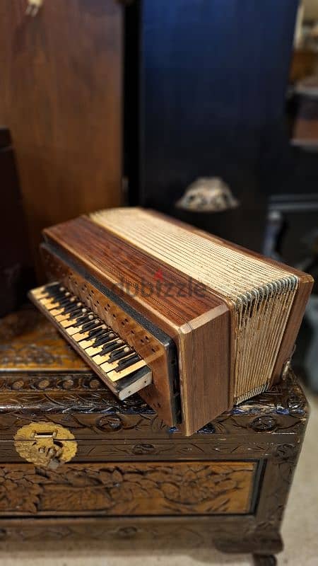 Vintage Accordion 0
