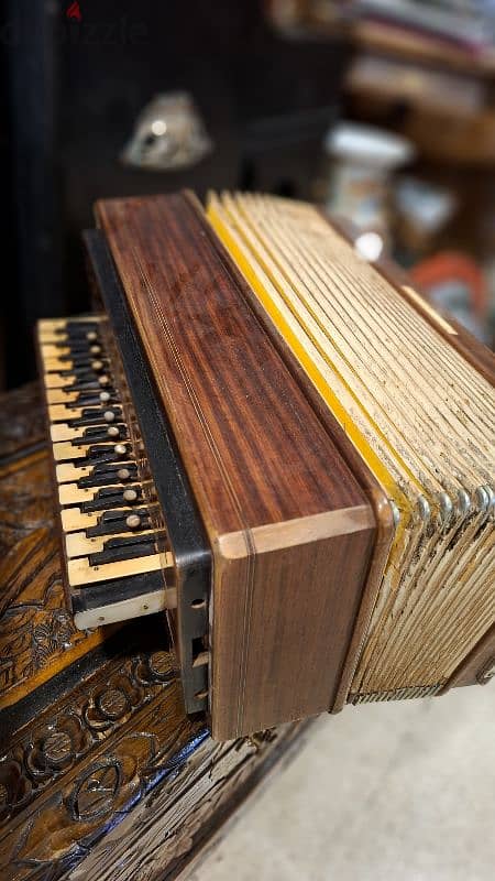 Vintage Accordion 4