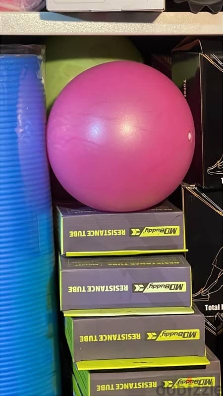 pilates ball 1