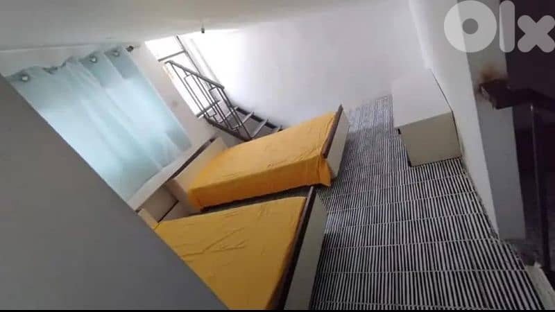 تختين مفرد ونص 0