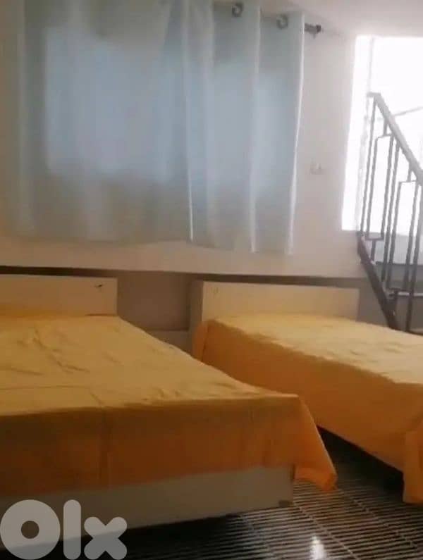 تختين مفرد ونص 1