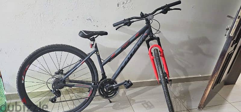 Brand New Salcanon Lily Bicycle 1