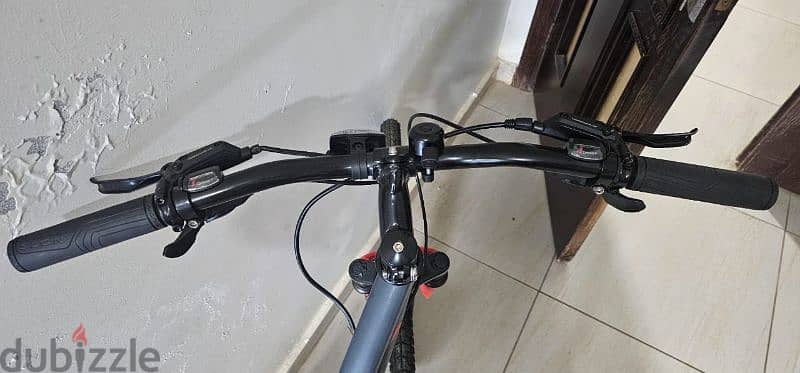 Brand New Salcanon Lily Bicycle 2