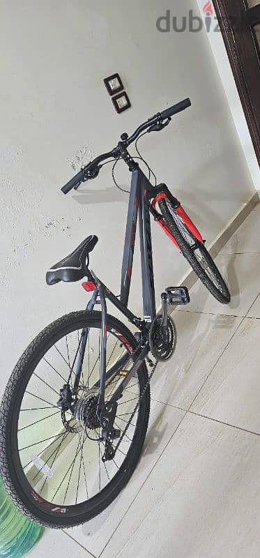 Brand New Salcanon Lily Bicycle 3
