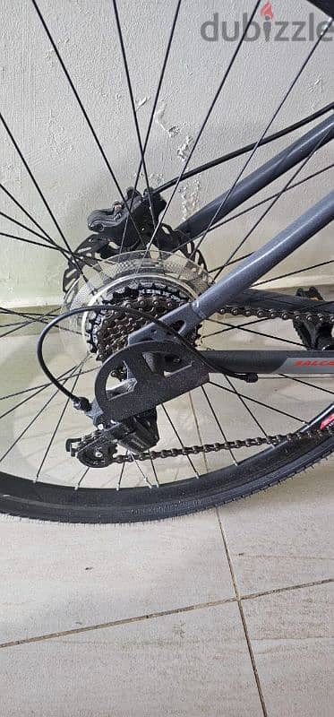 Brand New Salcanon Lily Bicycle 4