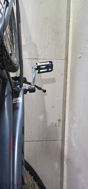 Brand New Salcanon Lily Bicycle 5