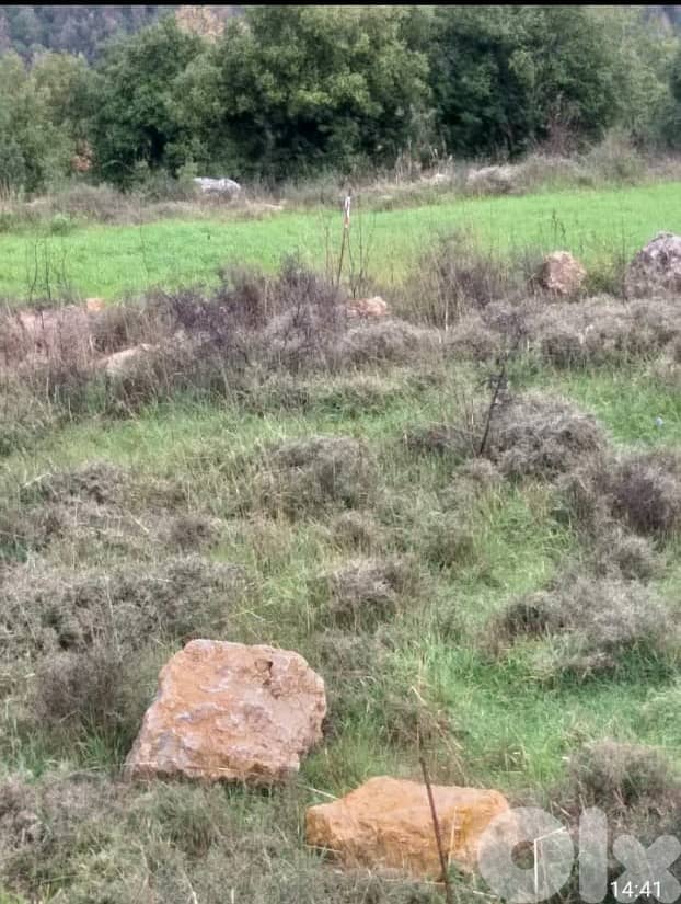 Land for Sale in Chwaya - Prime Investment Opportunity 1