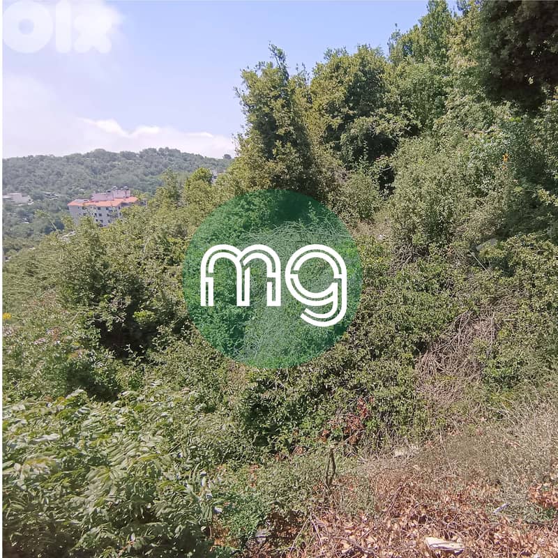 TI-15175 / Land for Sale in Achkout, أرض للبيع في عشقوت 2