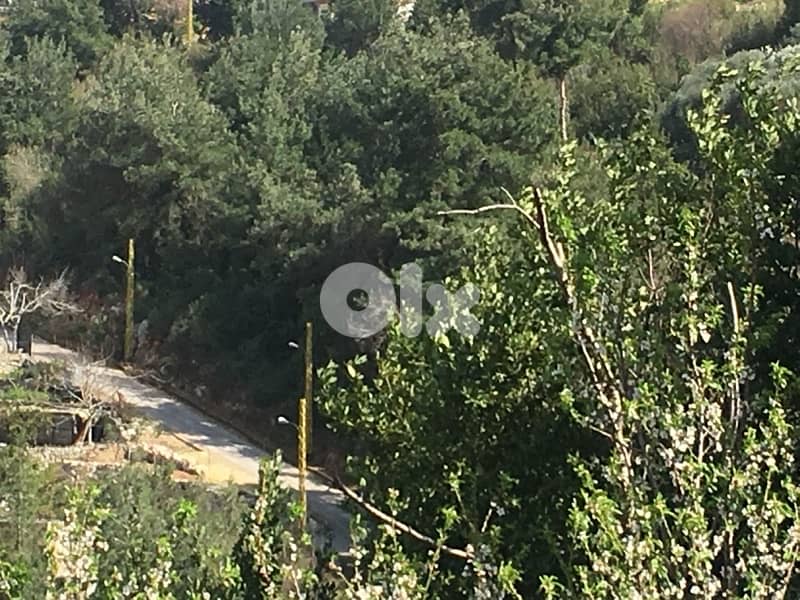 Bezhelبزحل فتوح كسروان تبعد عن أوتوستراد العقيبة ٥ كلم 3