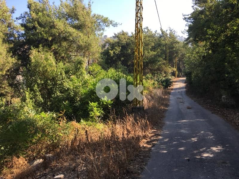 Bezhelبزحل فتوح كسروان تبعد عن أوتوستراد العقيبة ٥ كلم 4