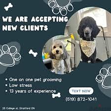 Pet Grooming Centre