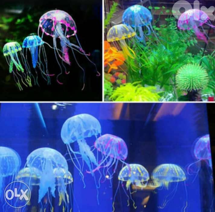 Magical luminous aquarium jellyfish 1