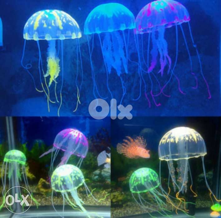 Magical luminous aquarium jellyfish 5