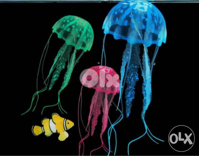Magical luminous aquarium jellyfish 6