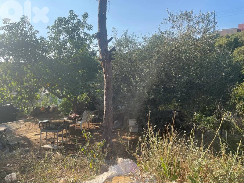 RWB163PK - Land for sale in Amchit Jbeil 2