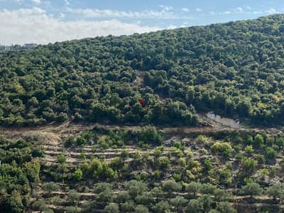 Land for sale in Edde-Batroun أرض للبيع في إده البترون