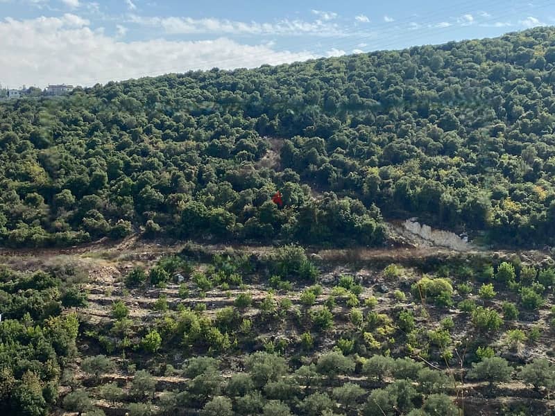 Land for sale in Edde-Batroun أرض للبيع في إده البترون 0