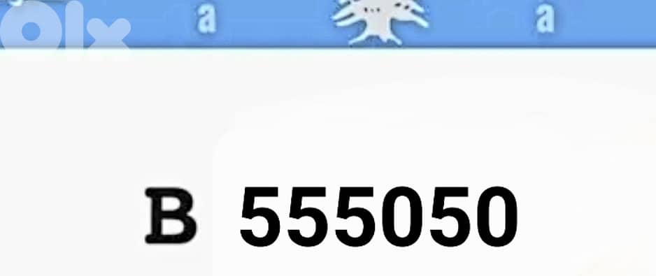 Special plate number 0