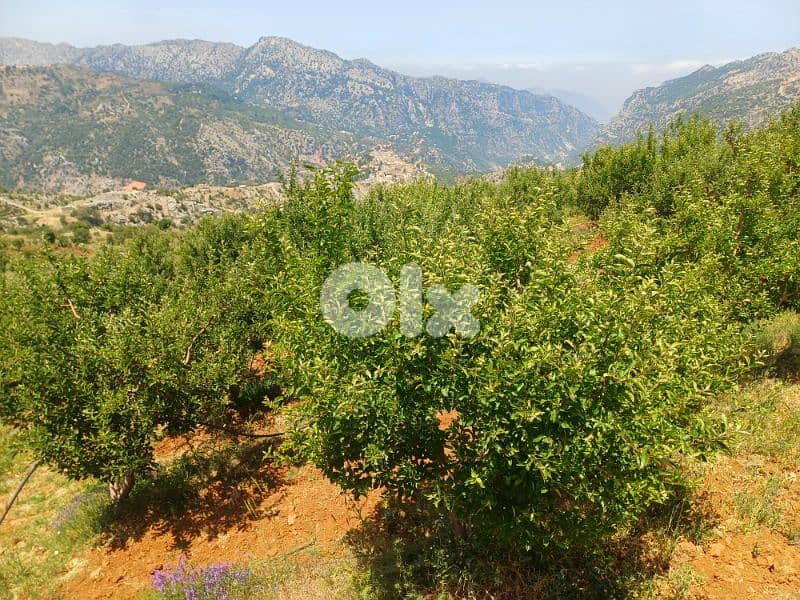lands for sale in tannourine 6