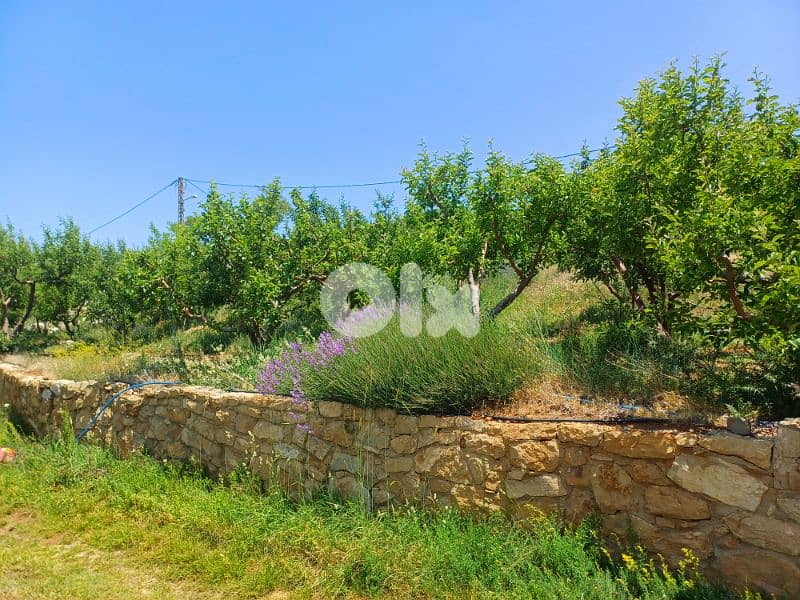 lands for sale in tannourine 7