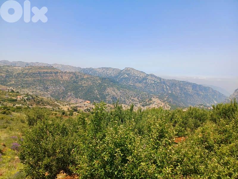 lands for sale in tannourine 8
