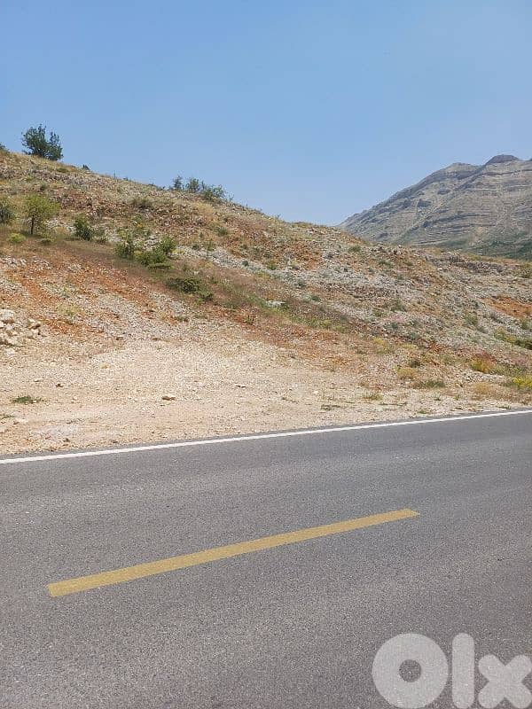 Land for sale facing tannourine cedars forest أرض مشرفة على أرز تنورين 0