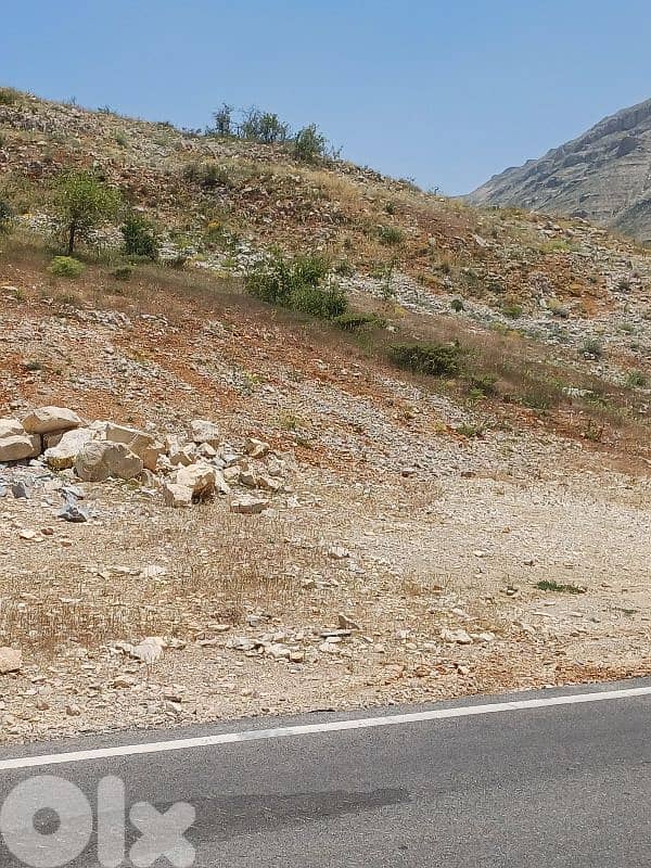 Land for sale facing tannourine cedars forest أرض مشرفة على أرز تنورين 1
