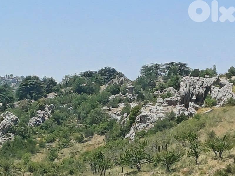 Land for sale facing tannourine cedars forest أرض مشرفة على أرز تنورين 4