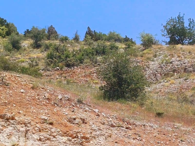 Land for sale facing tannourine cedars forest أرض مشرفة على أرز تنورين 6
