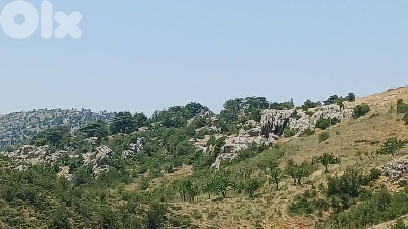 Land for sale facing tannourine cedars forest أرض مشرفة على أرز تنورين 8