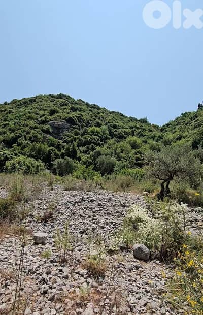 Lands for sale in Bejjeh Jbeil - أراض للبيع في منطقة بجه جبيل