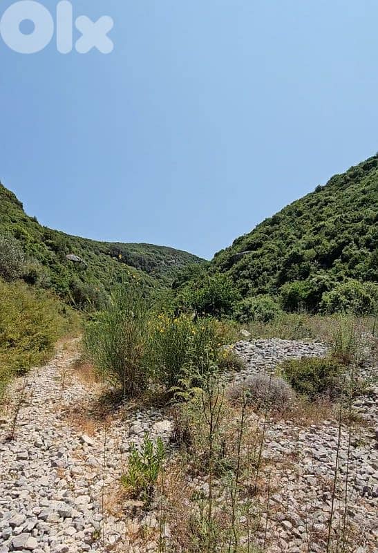 Lands for sale in Bejjeh Jbeil - أراض للبيع في منطقة بجه جبيل 3
