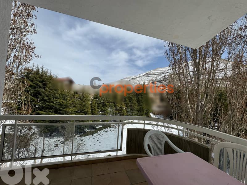 Chalet For Sale in Faqra - CPKMF50 6