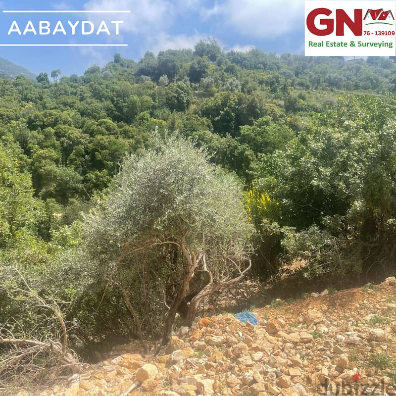 Land for sale in Aabaydat-Jbeil ارض للبيع في عبيدات-جبيل 1