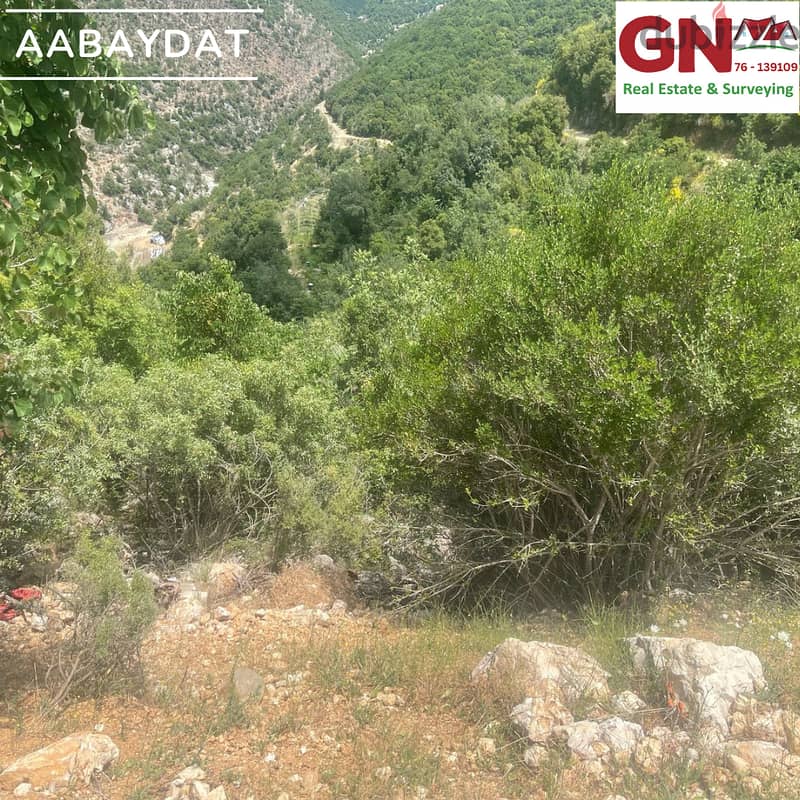 Land for sale in Aabaydat-Jbeil ارض للبيع في عبيدات-جبيل 3