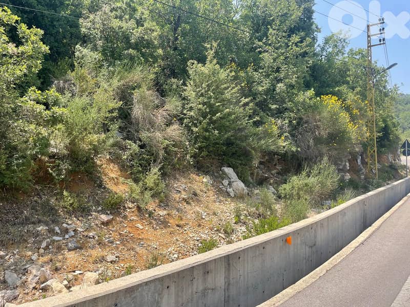 RWB166PK - Land for sale in Lehfed Jbeil 0