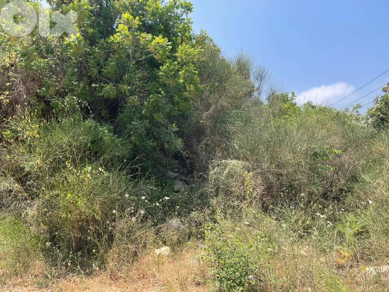 RWB167PK - Land for sale in Beit Habbak Jbeil 2