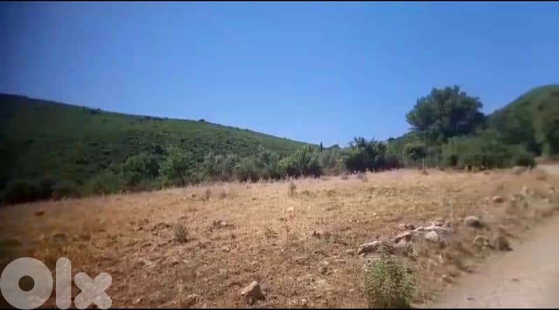 168000m² | Land for sale in Greece 1
