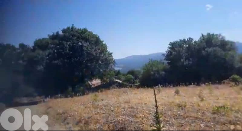 168000m² | Land for sale in Greece 2