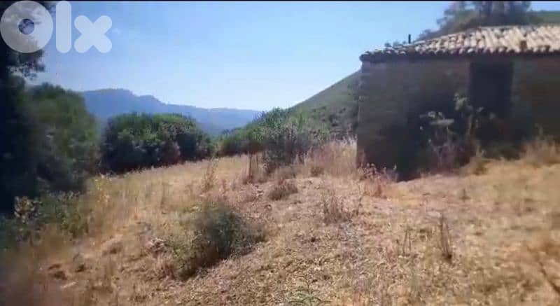 168000m² | Land for sale in Greece 3