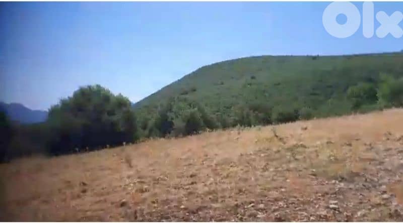 168000m² | Land for sale in Greece 4