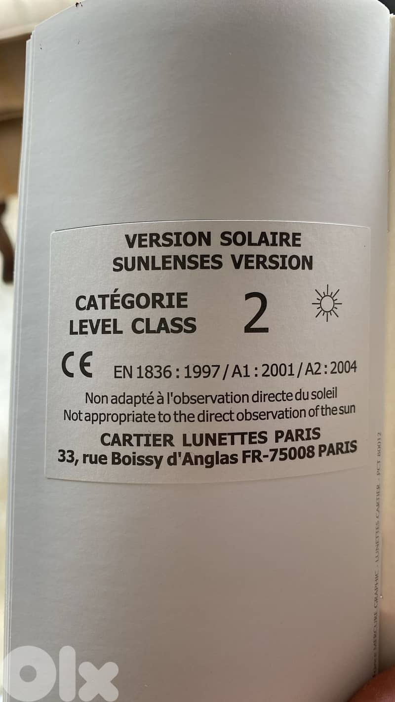 Cartier Mask Glasses 4