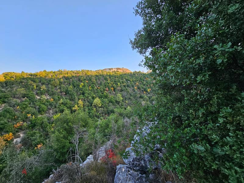Land for sale in Mar Mama-Batroun أرض للبيع في مار ماما-البترون 0