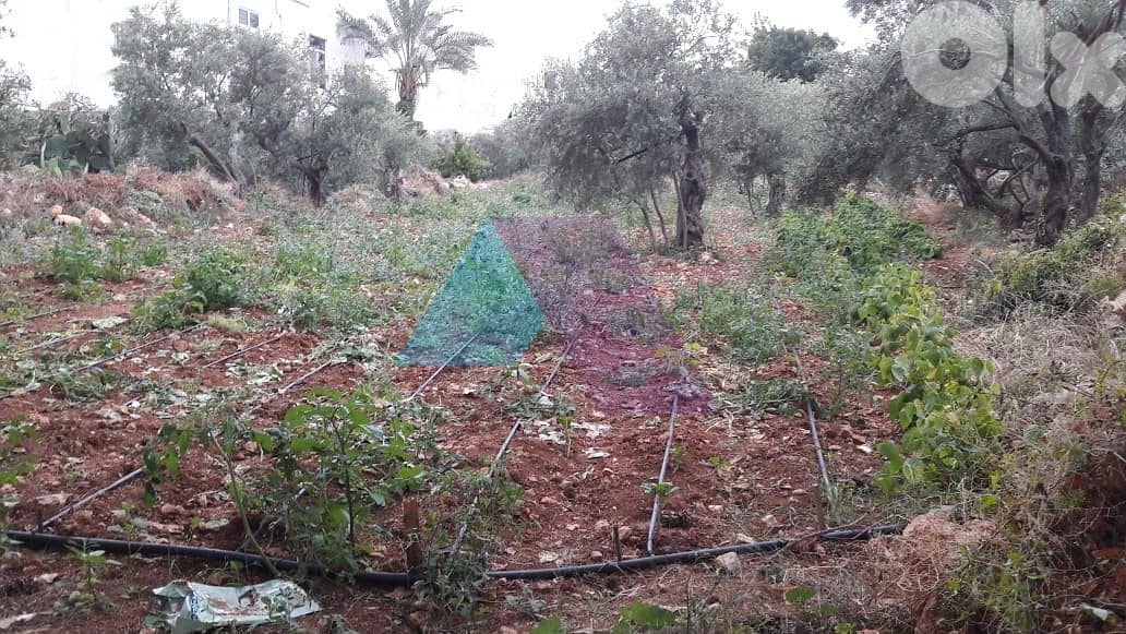 Land 1027m2 +open mountain view for sale in Amchit -أرض للبيع في عمشيت 0