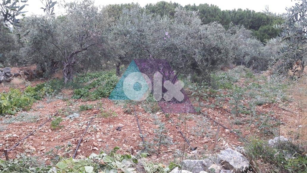 Land 1027m2 +open mountain view for sale in Amchit -أرض للبيع في عمشيت 2