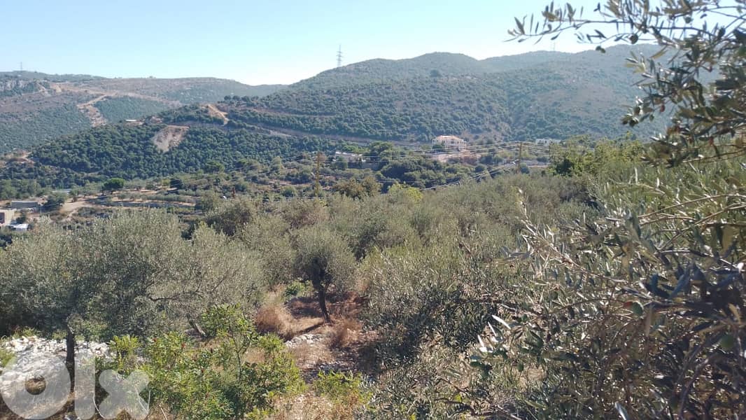 Land for sale in Aabeidat 0