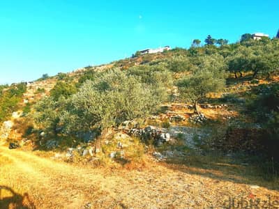 Land for sale in Kherbeh-Jbeil أرض للبيع في الخاربة جبيل