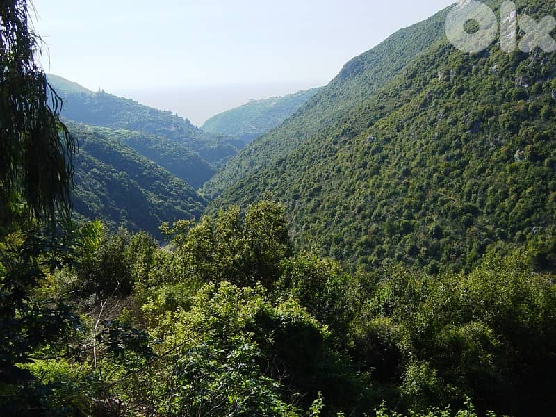 LAND FOR SALE IN GHOUMA PRIME,(5300SQ)OPEN SEA VIEW 0