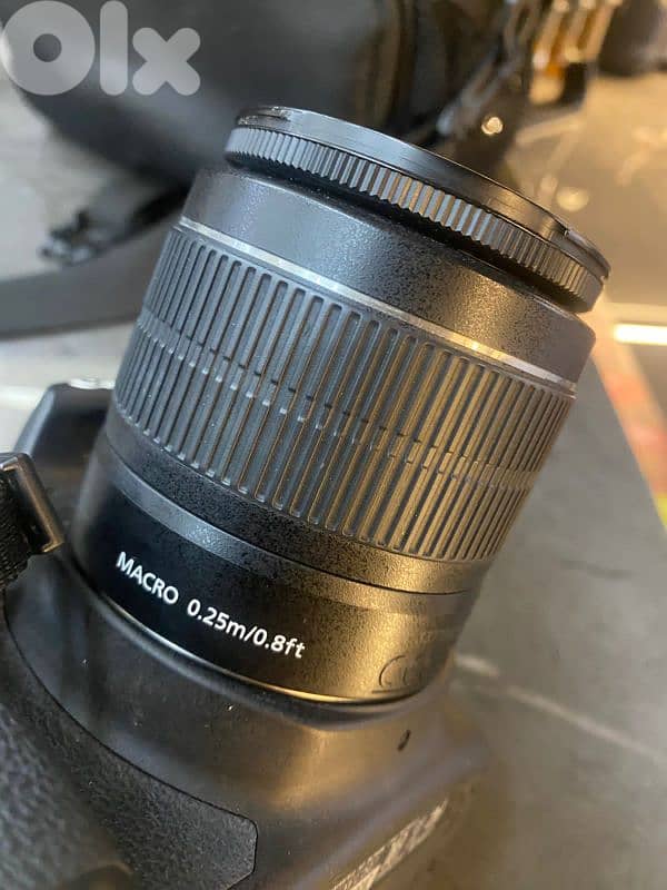 سد البوشرية 12